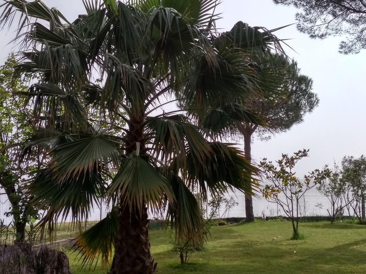 נידרי Palmyra Beachfront Studios מראה חיצוני תמונה