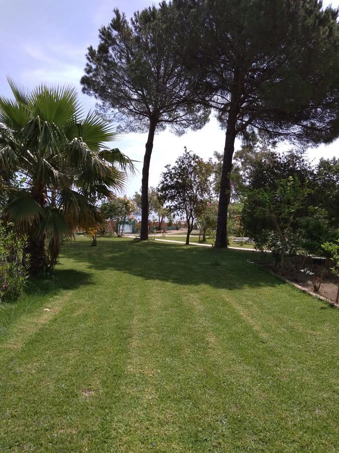 נידרי Palmyra Beachfront Studios מראה חיצוני תמונה